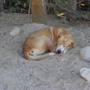 Baja2011 574 : Baja2011